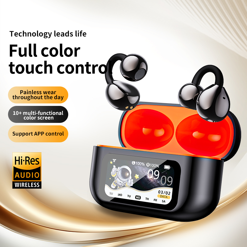 AI Translation Headphones True - đánh giá và giá Usb C Earphone